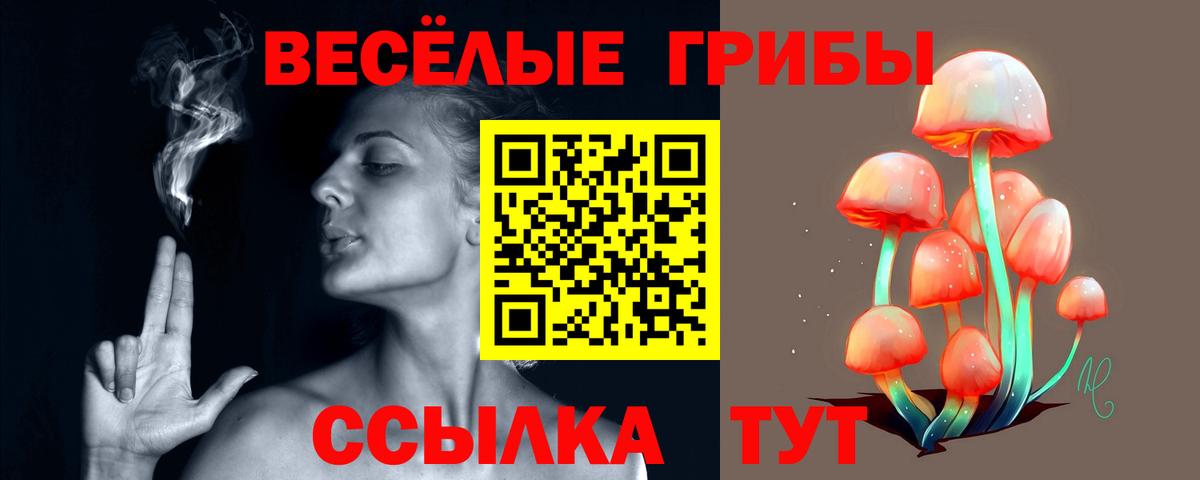 Псилоцибиновые грибы мицелий Сочи