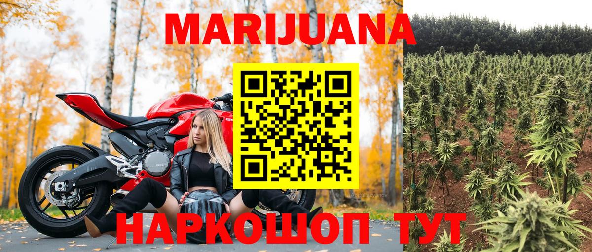 Бошки Шишки ГИДРОПОН Сочи
